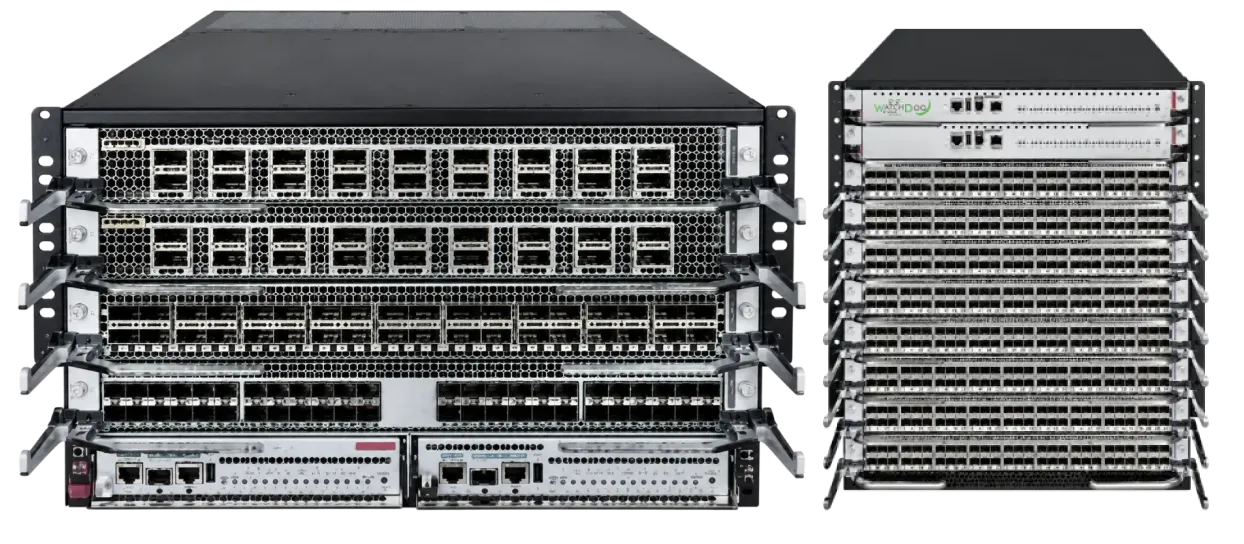WatchDog modular chassis switches